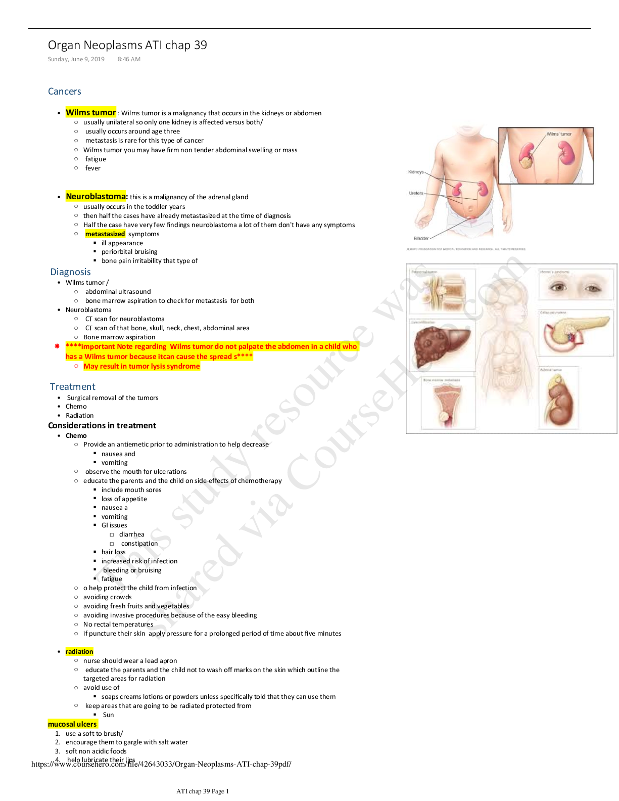 Preview of Chamberlain School - NURSING NUR 202 Organ Neoplasms ATI Chapter 39 (Latest 2021) 100% Cor